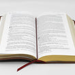 Load image into Gallery viewer, Personalized Santa Biblia La Historia NVI (Spanish Edition)