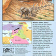 Load image into Gallery viewer, Noah's Ark Pamphlet