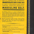 Load image into Gallery viewer, Mansfield's Book of Manly Men - Stephen Mansfield