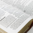 Load image into Gallery viewer, Personalized Santa Biblia La Historia NVI (Spanish Edition)