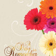 Load image into Gallery viewer, Assorted Wedding Greeting Cards, Box Of 12
