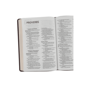 Personalized NIV Thinline Bible Large Print Burgundy