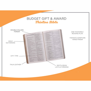 KJV Budget Gift and Award Purple Bible