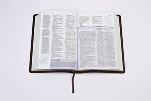 Personalized The Study Bible for Women: NKJV Edition, Cocoa Genuine Leather