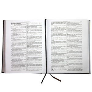 Personalized KJV Holy Bible Family Edition LuxLeather Large Print Dark Brown King James Version