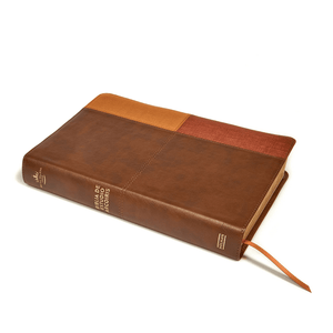 Personalized Custom Text Your Name Rainbow Study Bible RVR 1960 Cocoa/Terracotta LeatherTouch (Spanish Edition)