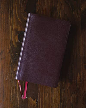 Personalized NIV Thinline Reference Bible Red Letter Comfort Print Burgundy