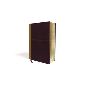 Personalized KJV Amplified Parallel Bible Large Print Leathersoft Caramel/Burgundy