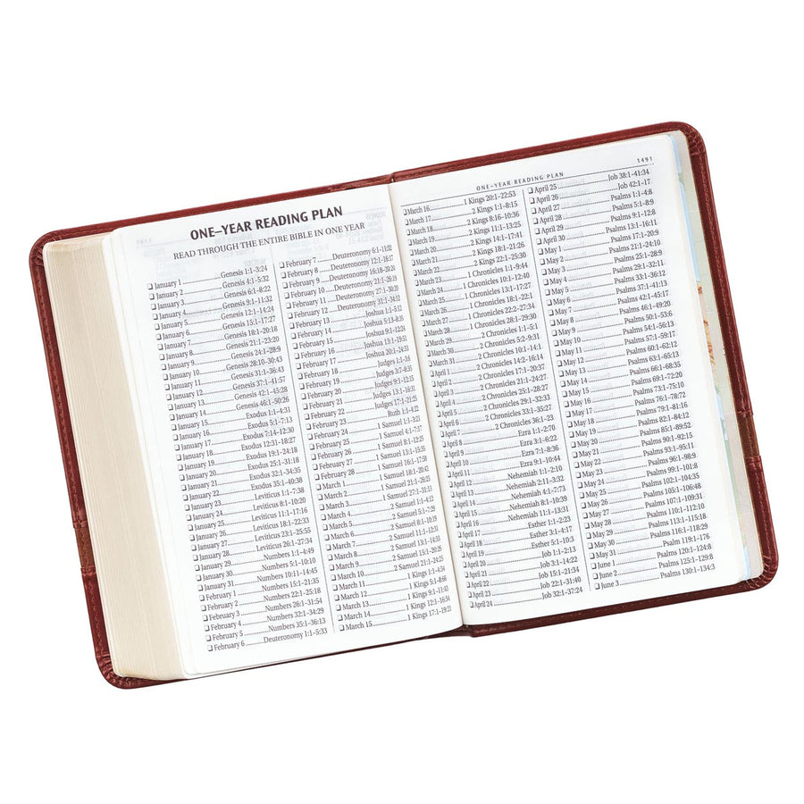 Personalized Custom Text Your Name KJV Holy Bible COMPACT LuxLeather Brown King James Version