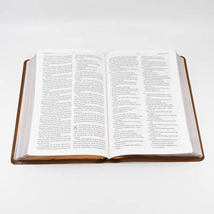 Personalized Battlefield of the Mind Bible: Renew Your Mind Through the Power of God's Word Brown