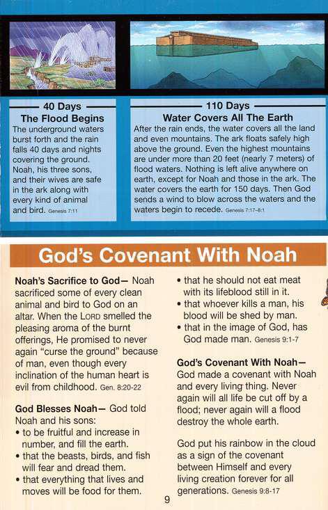 Noah's Ark Pamphlet