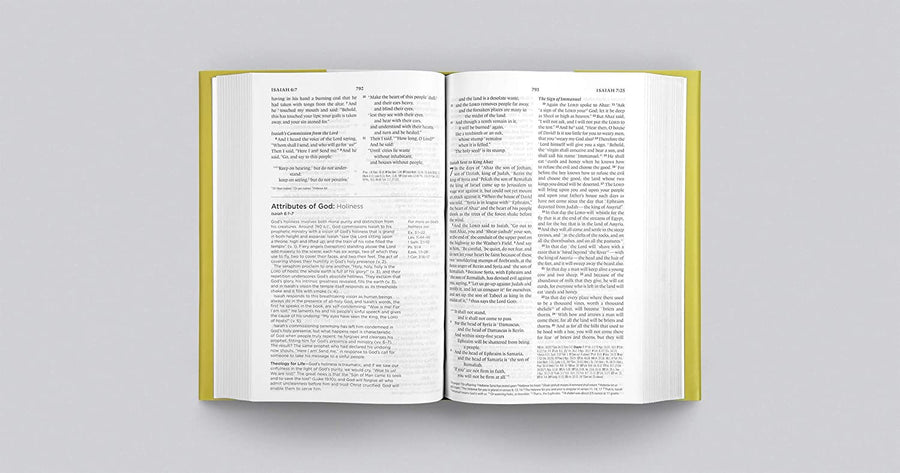 Personalized ESV Systematic Theology Study Bible Hardcover