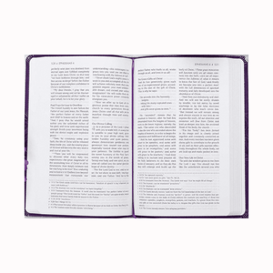 Personalized Custom Text Your Name The Passion Translation New Testament (2020 Edition) Large Print Violet Faux Leather