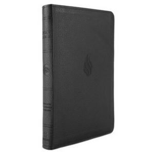 Personalized Custom Text Your Name ESV Premium Gift Holy Bible TruTone Midnight Flame Black English Standard Version