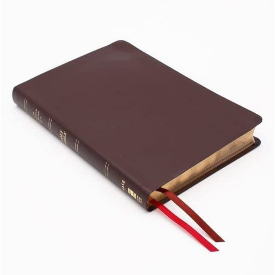 Personalized NASB 1995 Text Thinline Large Print Bible Red Letter Edition Burgundy Bonded Leather