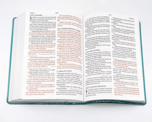 Personalized RVR 1960 Biblia Letra Súper Gigante Aqua símil piel (Spanish Edition)