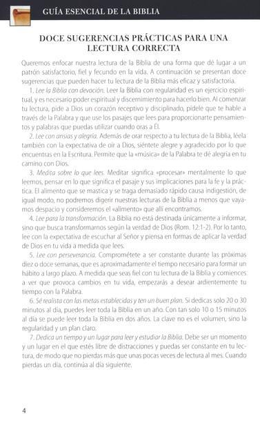 Guía Esencial de la Biblia (The Ultimate Bible Guide)