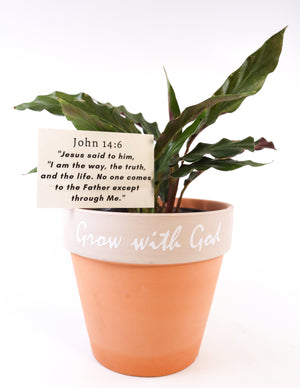 Furry Feather Calathea Live Plant in a 'Grow with God' Ceramic Clay Planter