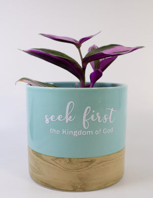 Tradescantia 'Albiflora' Nanouk Live Plant in "Seek First The Kingdom Of God" Nursery Pot