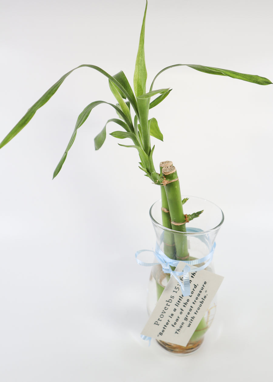 Bamboos in Scripture Verses Vase