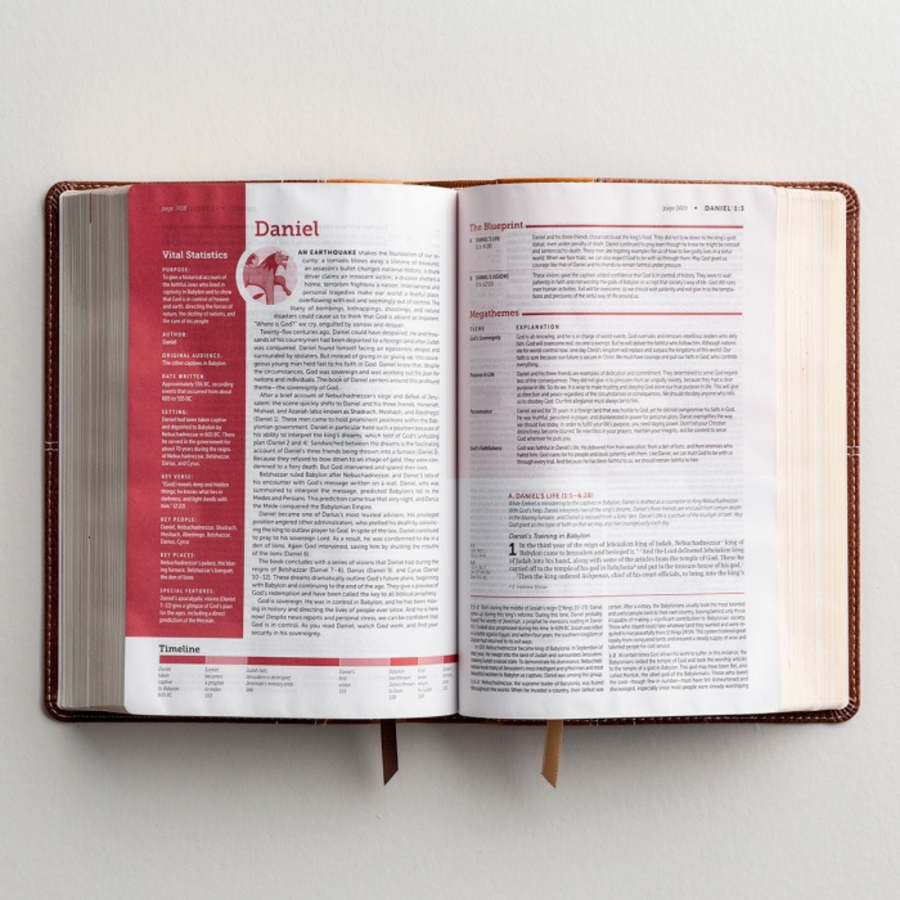 Personalized NIV Life Application Study Bible Third Edition Brown Leathersoft Red Letter Edition