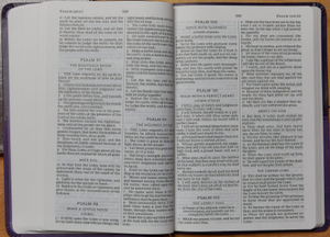 Personalized KJV Holy Bible Value Large Print Thinline Purple King James Version