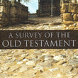 Load image into Gallery viewer, A Survey of the Old Testament [3rd Edition] - Andrew Hill &amp; John Walton
