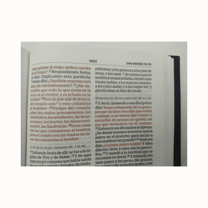 Personalized Custom Text Your Name Biblia Compacta Letra Gde. RVR 1960 Bordado Sobre Tela (Spanish)