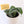 Load image into Gallery viewer, Scindapsus Pictus &#39;Exotica&#39; Live Plant in Modern White Ceramic Plant Pot
