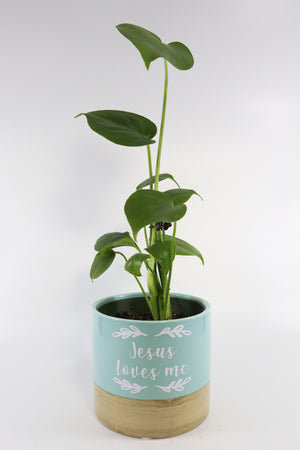 Monstera Deliciosa Plant in "Jesus Loves Me" Planter