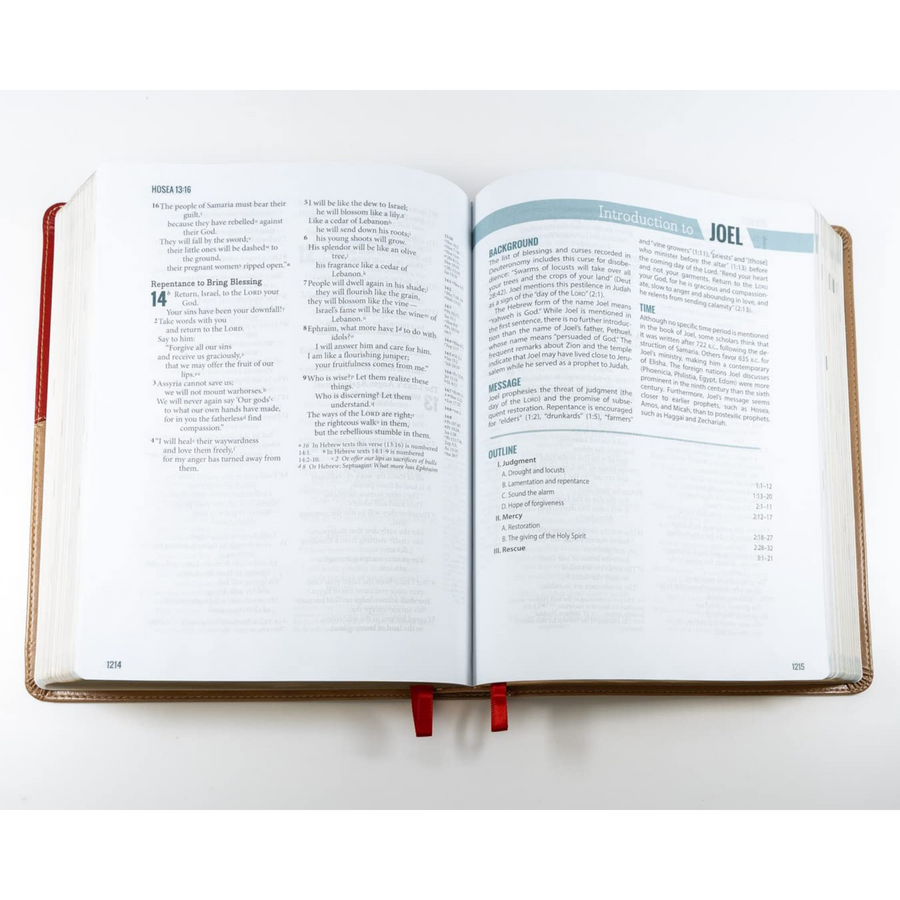 Personalized NIV Ministry Essentials Bible A Comprehensive Bible for Everyone in Leadership