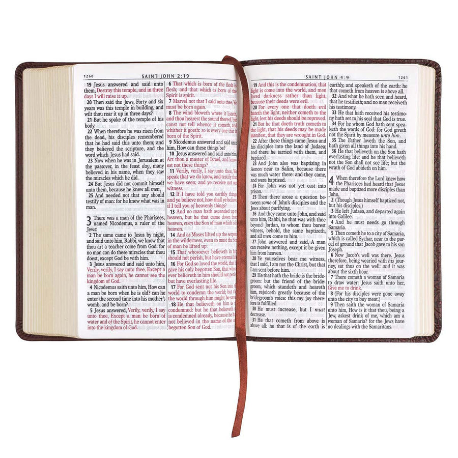 Personalized KJV Brown Faux Leather Small COMPACT Bible w/Ribbon Red Letter