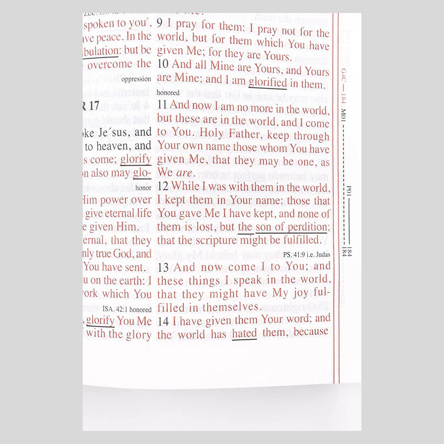 Personalized KJVer Sword Study Bible Large Print Personal Size Thumb Indexed